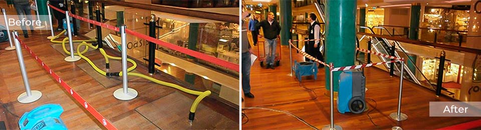 džiovinimas po laistymo